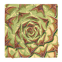 Гобеленовый декоративный чехол для подушки «Каменный цветок»
